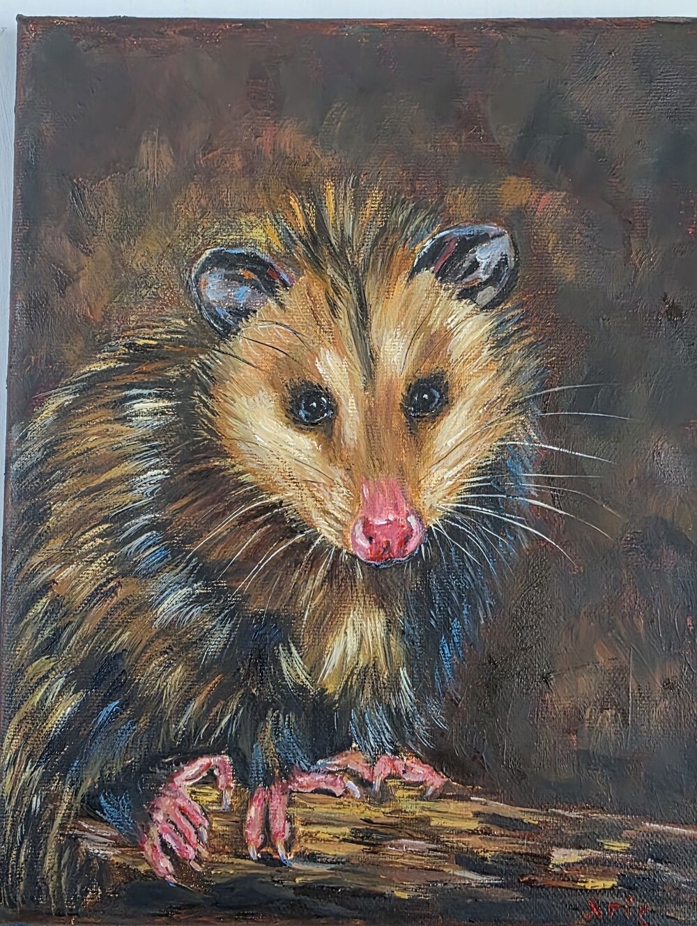 Abstract oil Painting cute Possum.